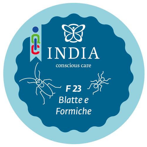 F23 - Blatte e Formiche